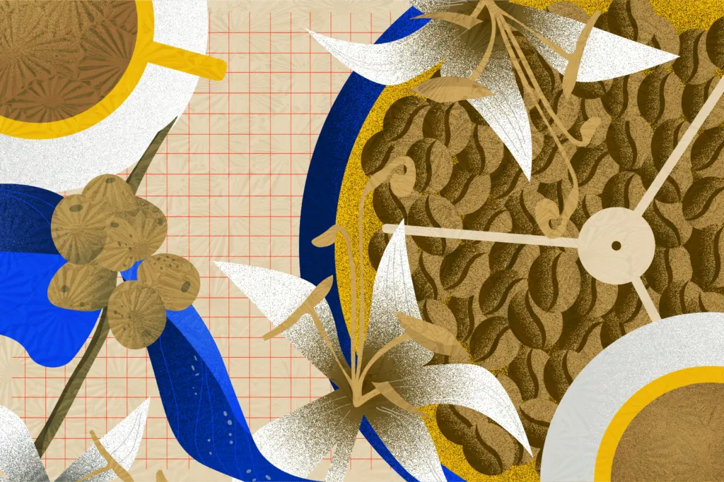“If It’s Hidden, It’s We Who Hide”— On Discovering the Potential of Robusta Through Roasting