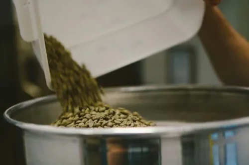 How Roast Profile Shapes Coffee Body: A Roaster's Guide