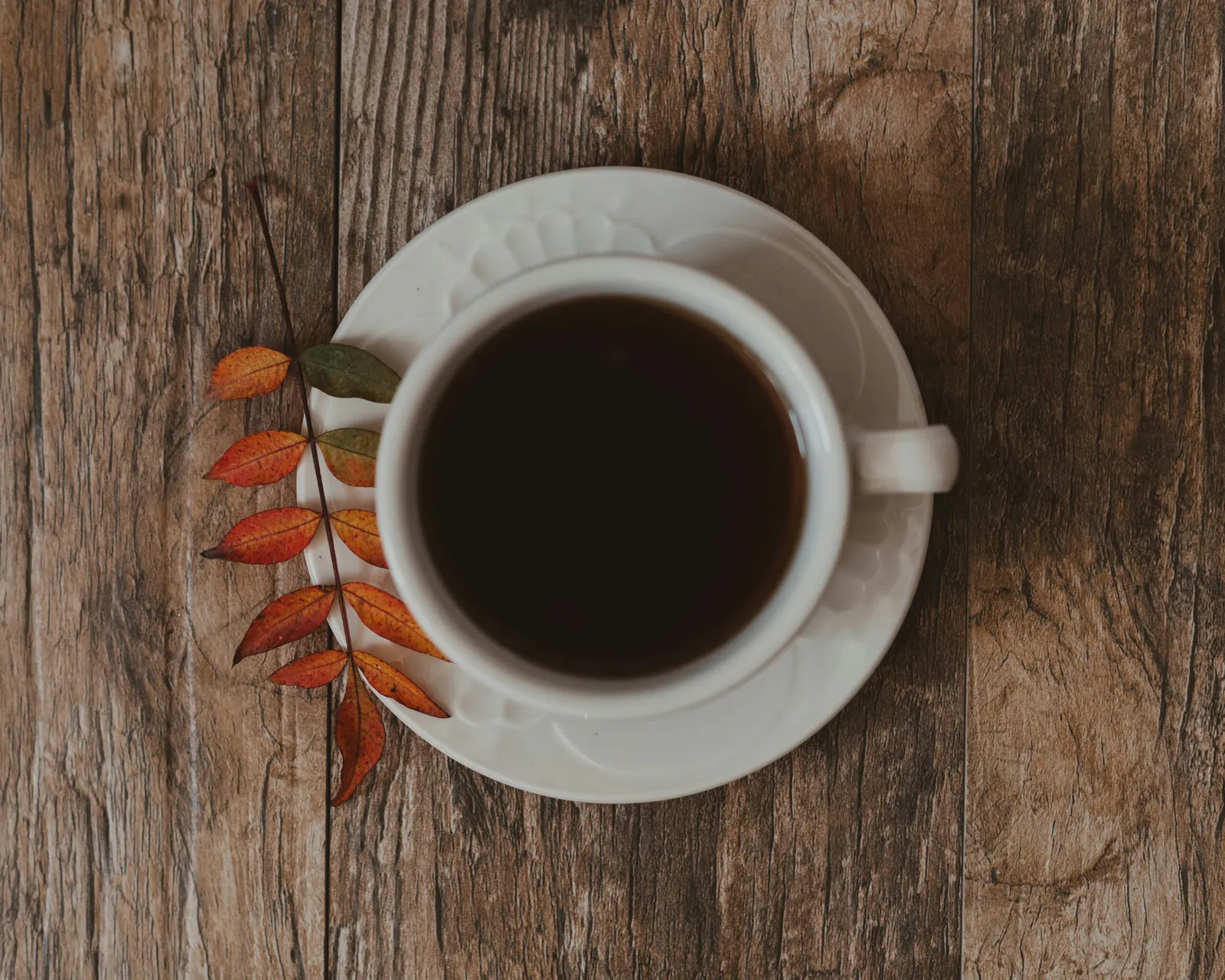 Five Places, Five Fall Drinks