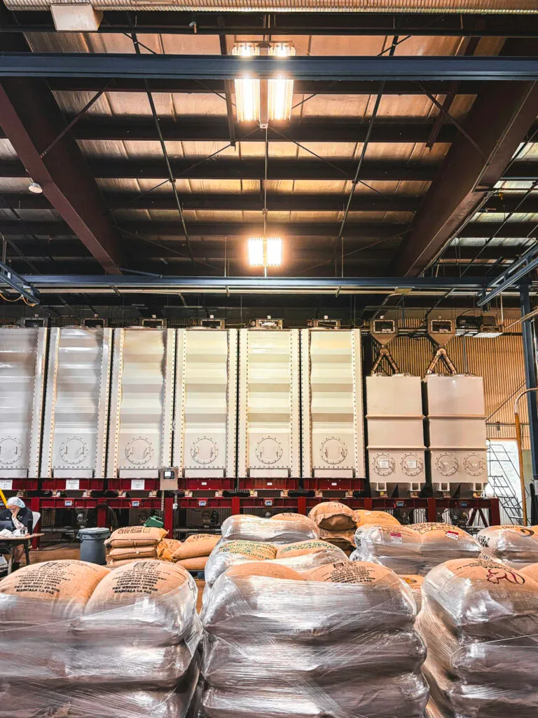 How Wicked Joe Grew a Two-Million-Pound Roastery Without Shedding Its Values