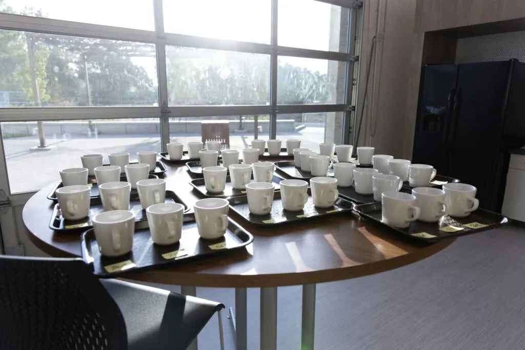 The New Coffee Brewing Chart: What Changed and Why It Matters