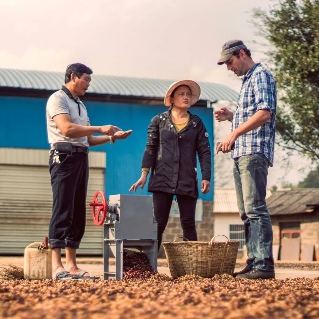 Sorting by Color, Raising Yunnan Coffee's Standing