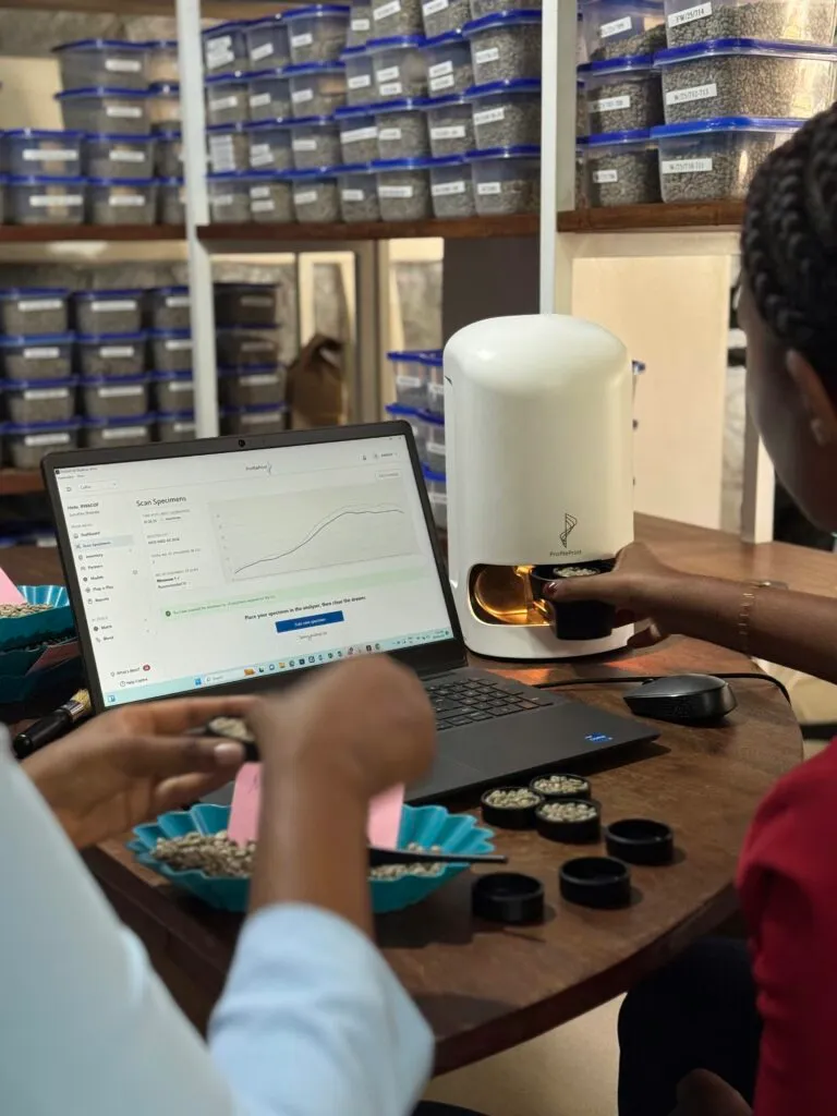 Molecular Scanning Brings Instant Coffee Quality Data to Producers and Traders