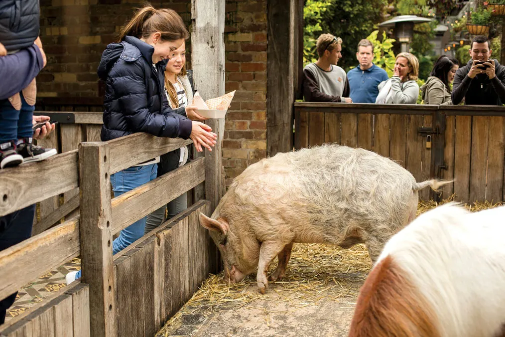 KevinBacon