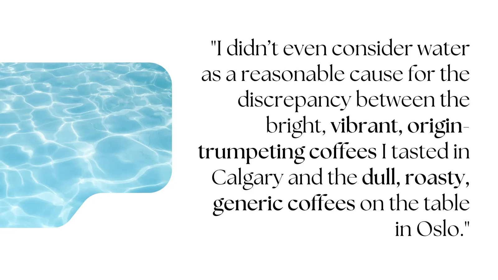 How Bicarbonate in Water Shapes the Way Coffee Is Roasted