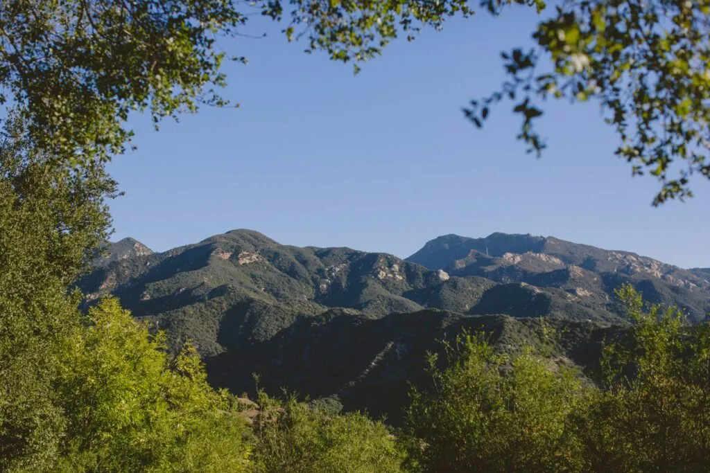 Jay and Kristen Ruskey, Who Helped Establish California Coffee Growing, Have Died