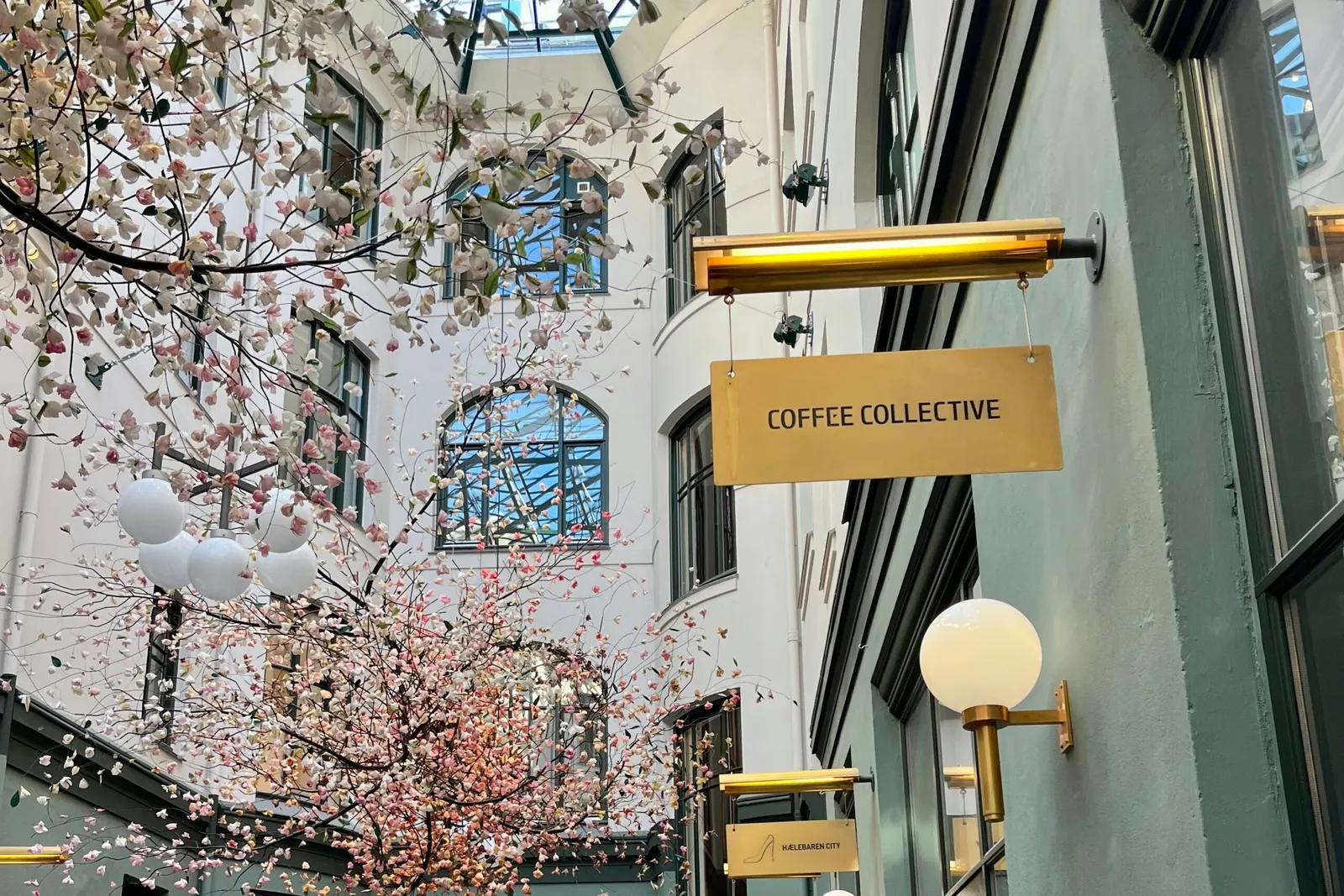 A Peek Into Denmark’s Specialty Coffee Evolution