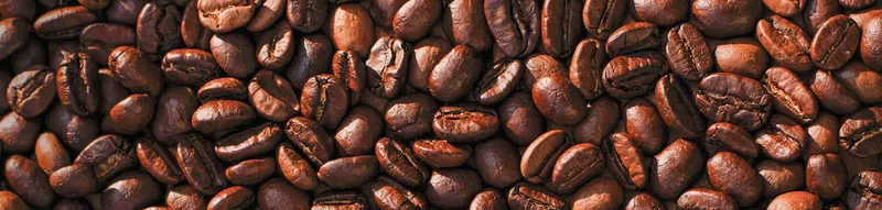 Post Your Roast