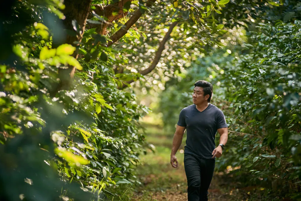 How One Brazilian Family Farm Used Avocado Trees to Reshape Coffee Growing