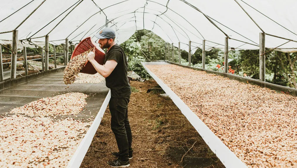Costa Rica, Part 3: Innovating Together