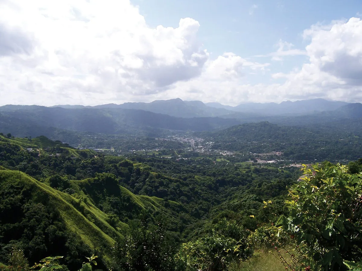 Puerto Rico’s Coffee Revival