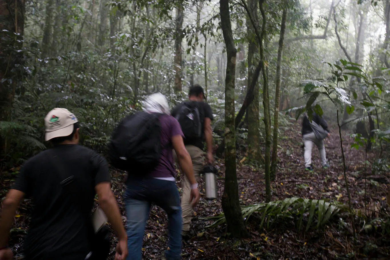 The trail up to Finca la Mula.