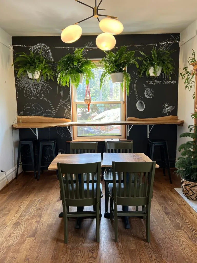 Where Coffee Meets Greenery: Hybrid Cafés That Sell Bouquets and Houseplants