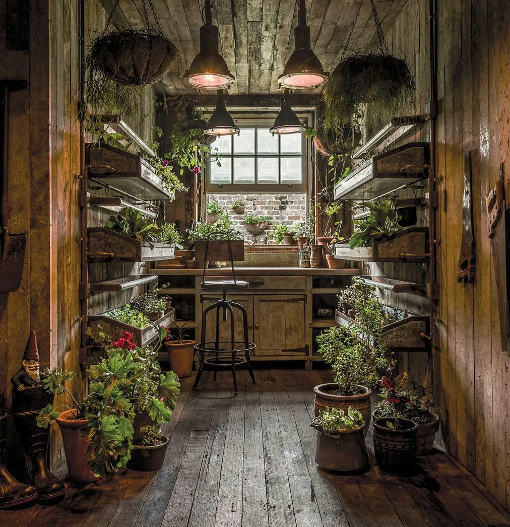 Inside the Propagation Room at the Grounds.