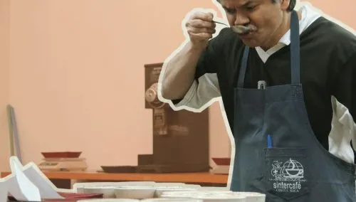 Spot On: Greivin Mesén cups at Volcafe's San Diego Mill in Costa Rica. The coffee is cupped at every stage and meticulously processed, which contributes to its overall quality and helps ensure its long-term integrity.