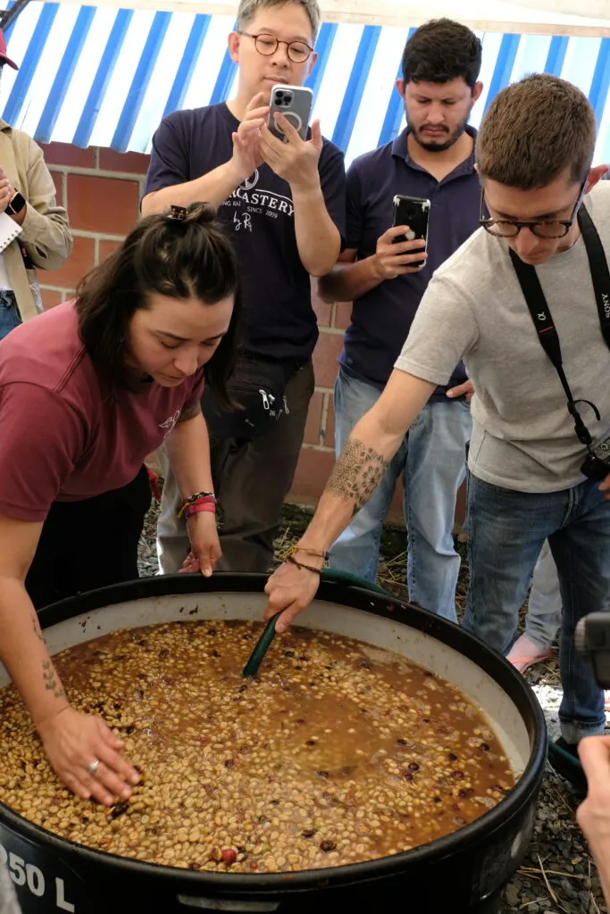 The Risks and Rewards of Experimental Coffee Processing for Producers