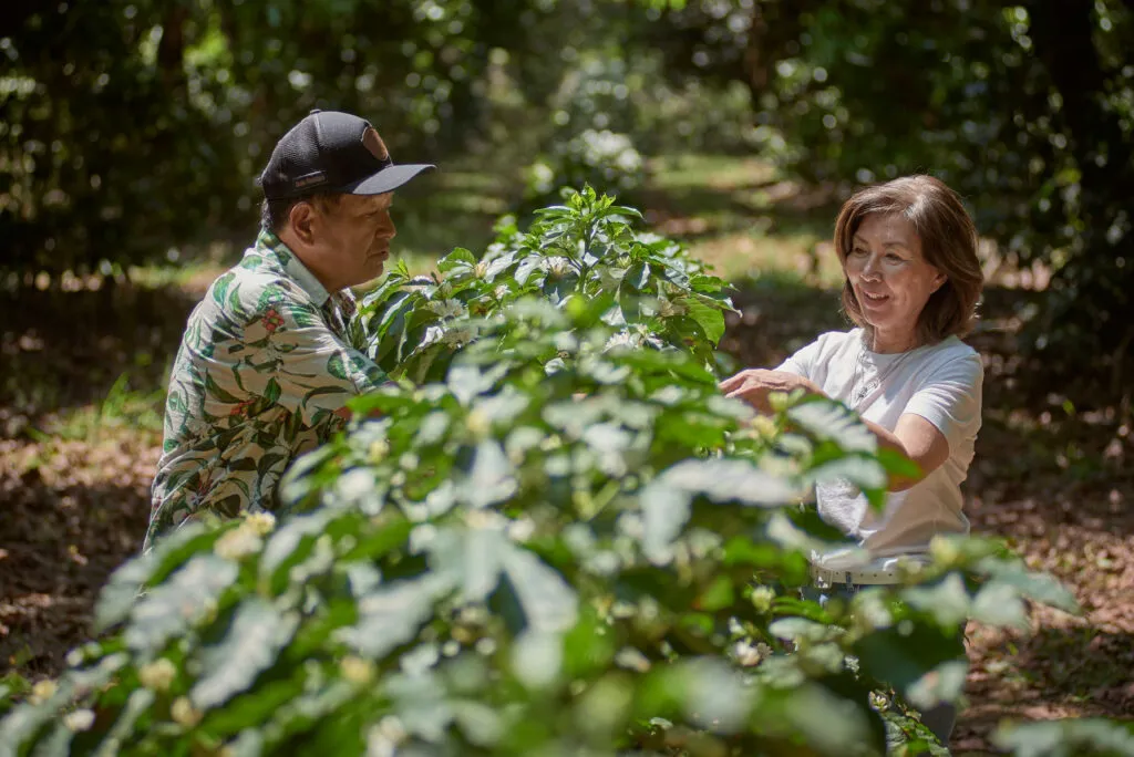 How One Brazilian Family Farm Used Avocado Trees to Reshape Coffee Growing
