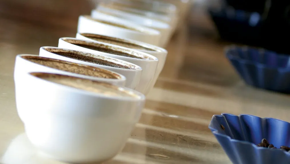 Triangulate Your Career: Should Baristas Consider Getting Q Grader Certification?