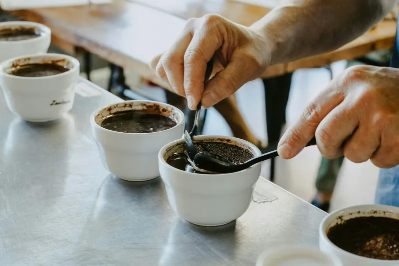 The SCA’s Q Program Takeover Leaves the Coffee Industry Divided
