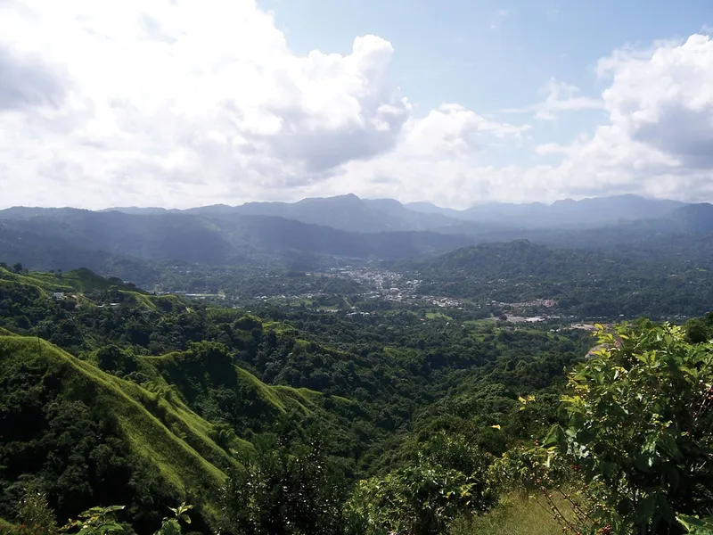 Puerto Rico’s Coffee Revival
