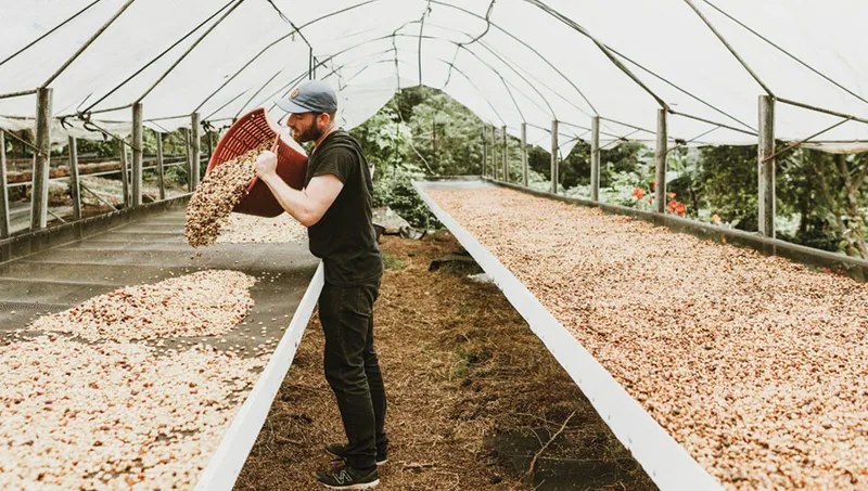 Costa Rica, Part 3: Innovating Together