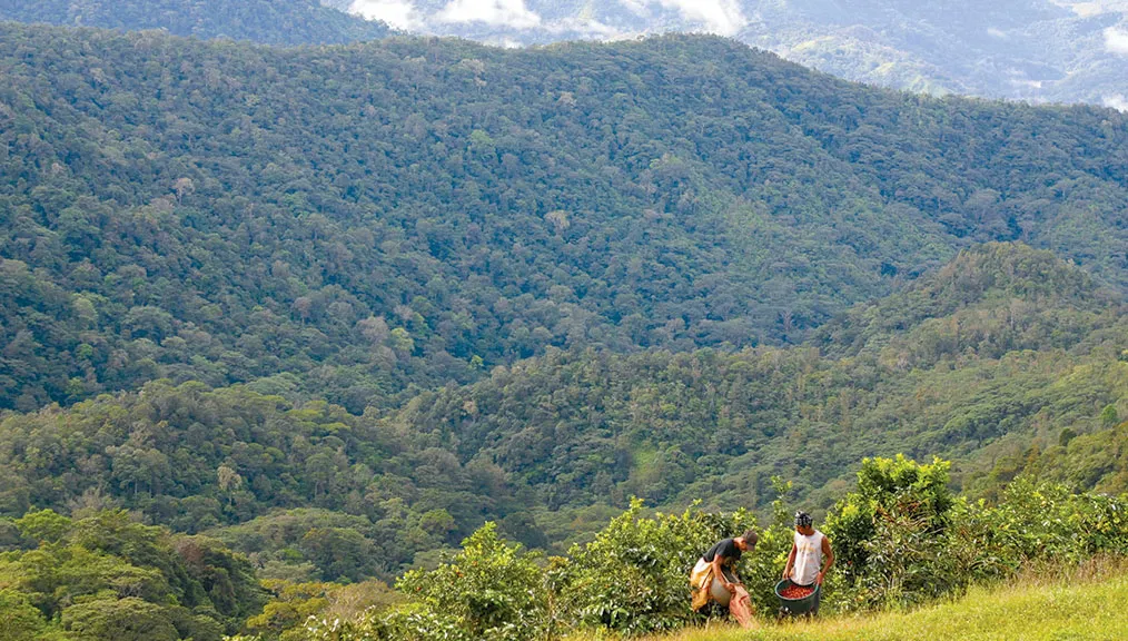 MountainsWPickers_main