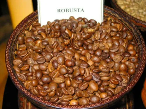 RoastedRobusta_BennyLin