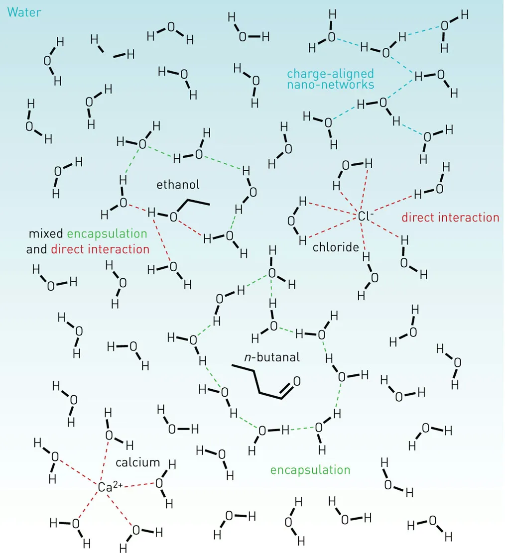 DifferentMolecules