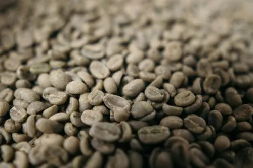 How Roast Profile Shapes Coffee Body: A Roaster's Guide