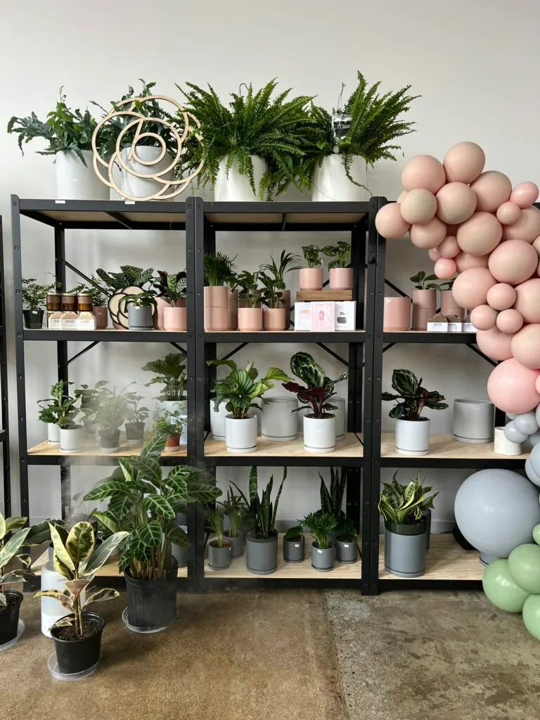 Bloomsgiving