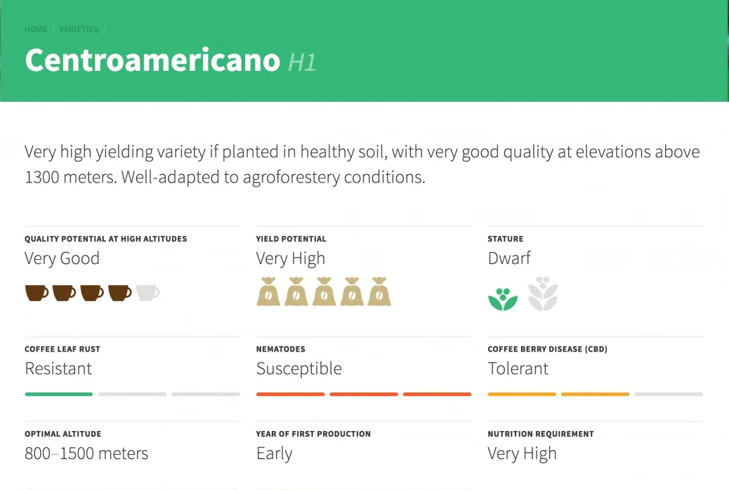 Centroamericano entry in the WCR coffee varieties catalog for Mesoamerica and the Caribbean.