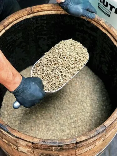 Beyond the Brew: How Barrel-Aged Coffee Is Shaping Roastery Menus