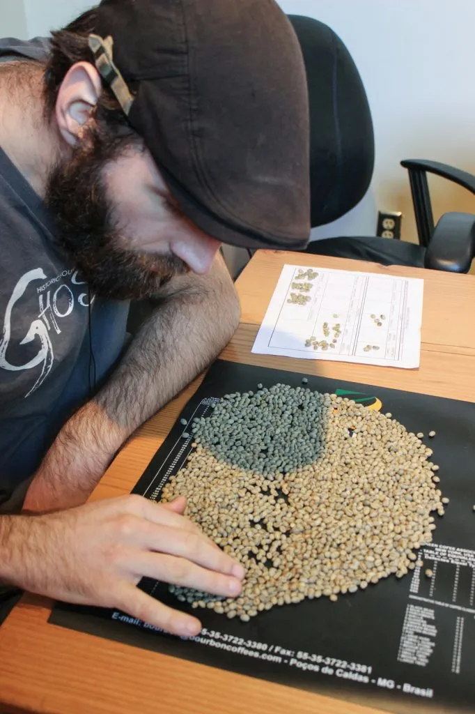 Rob Hoos sorting out green coffee defects.