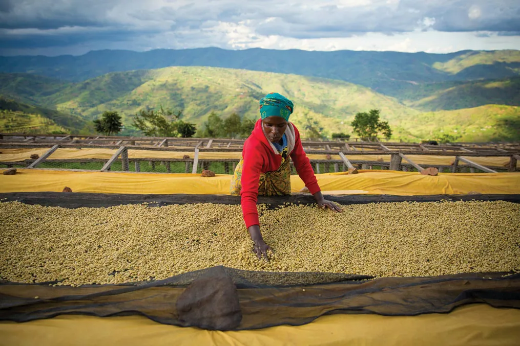 Rwandan coffee farmer.