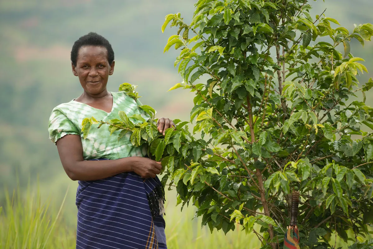 Rwanda_Picker_CE