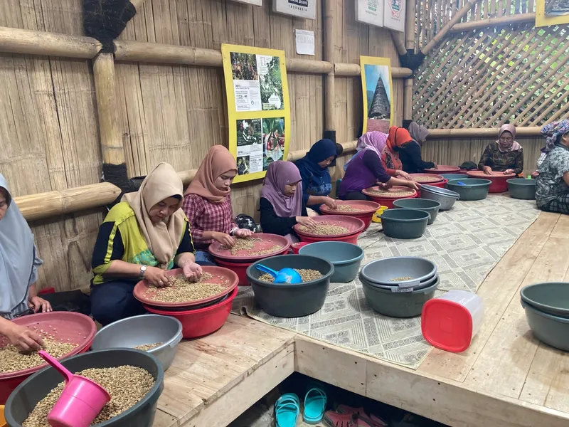 Contemporary Indonesian Specialty Coffee: A Chat with Three Coffee Processors