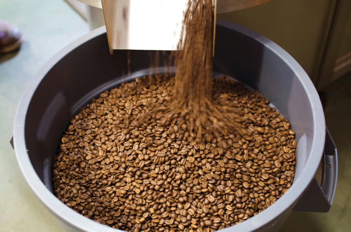 FreshRoastedBeans