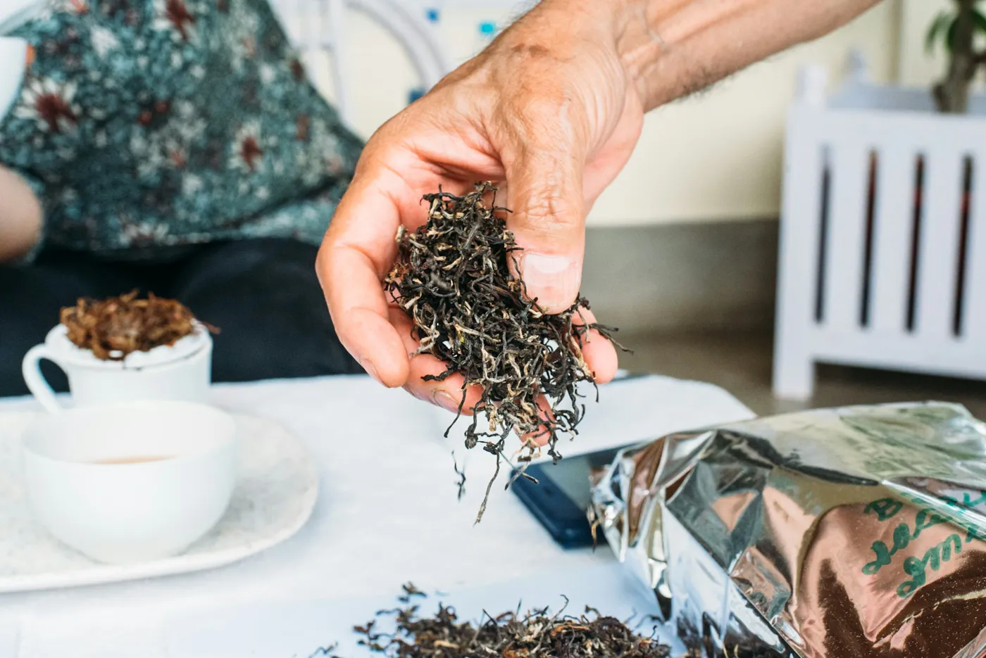 Can Darjeeling Tea Hope for a Climate-Resilient Future?