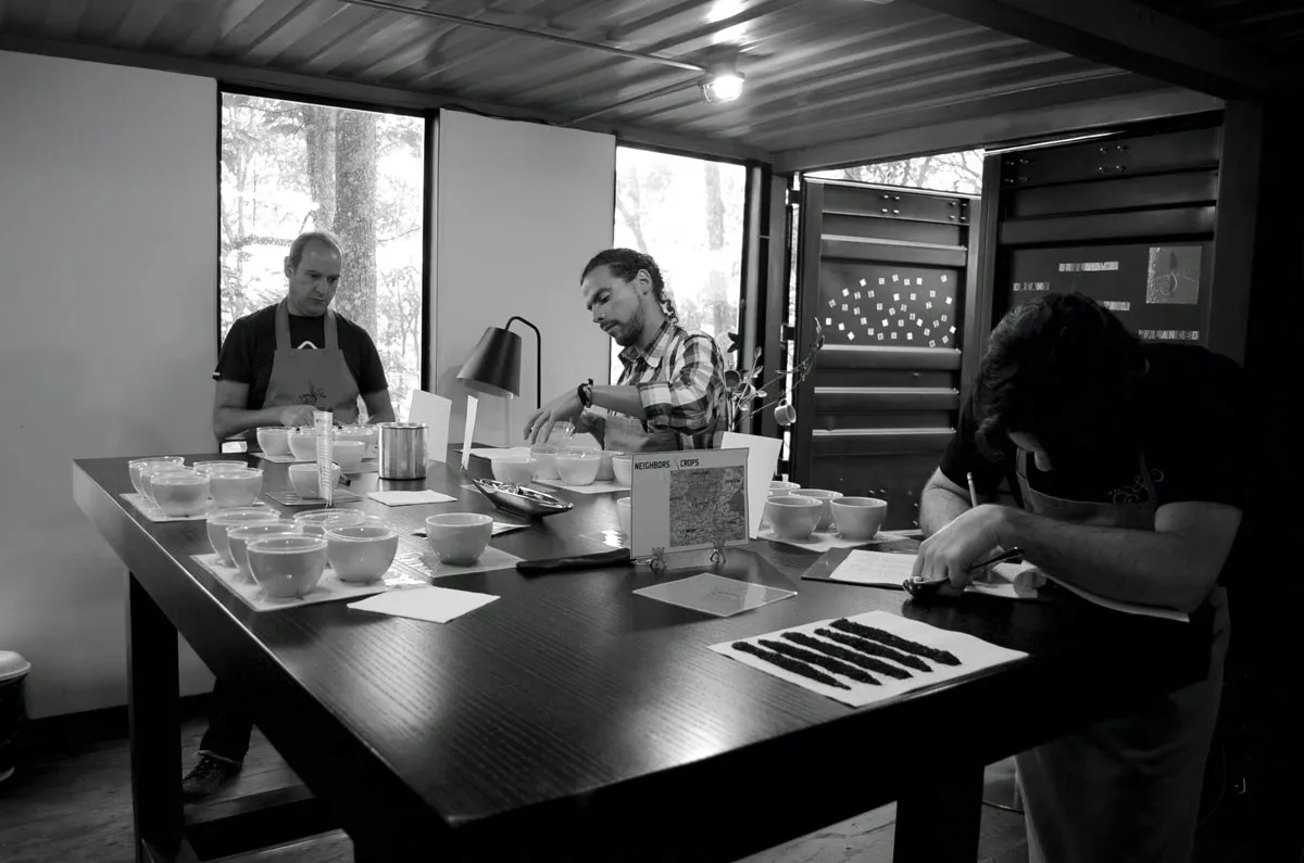 Cupping on the farm.