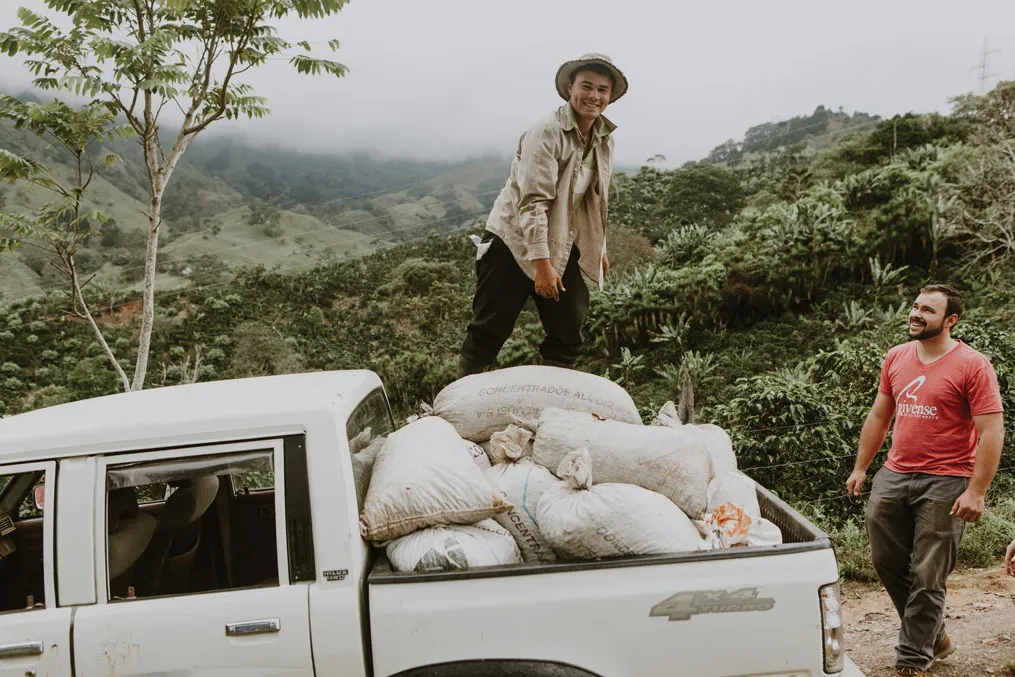 How Collaboration and Experimentation Shape Costa Rica's Coffee Sector