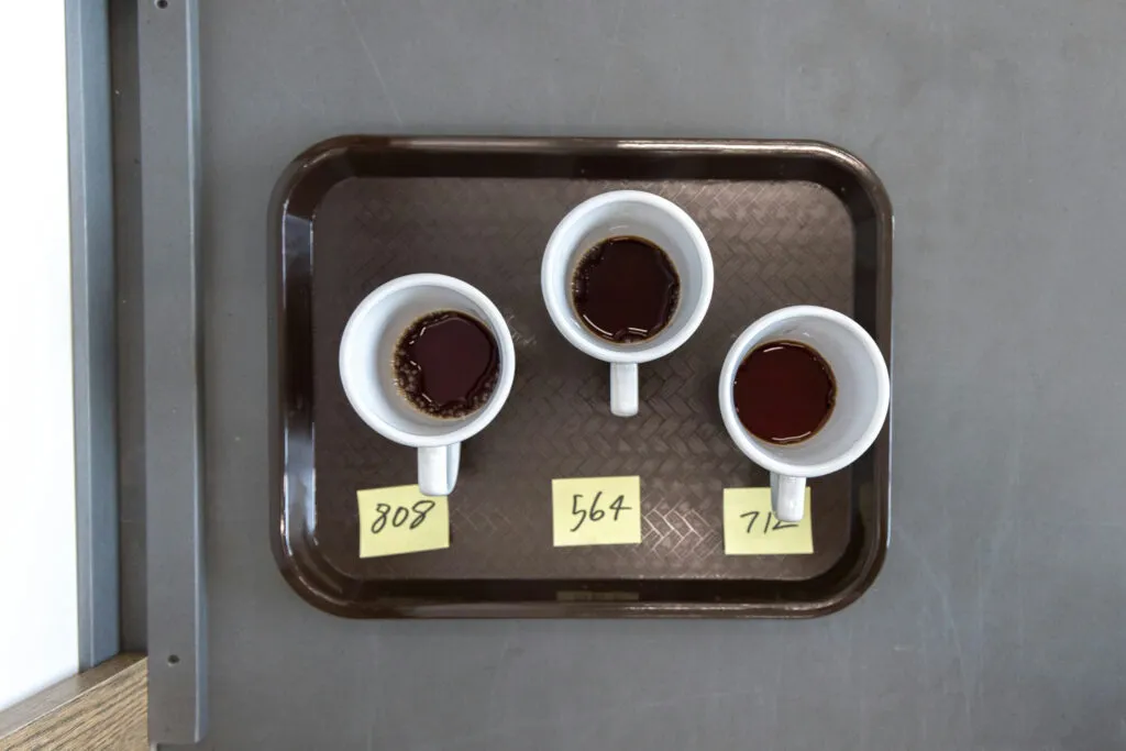 The New Coffee Brewing Chart: What Changed and Why It Matters