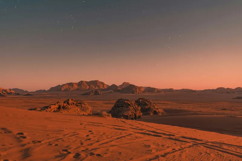 Coffee Grown On Mars? What Would That Taste Like?