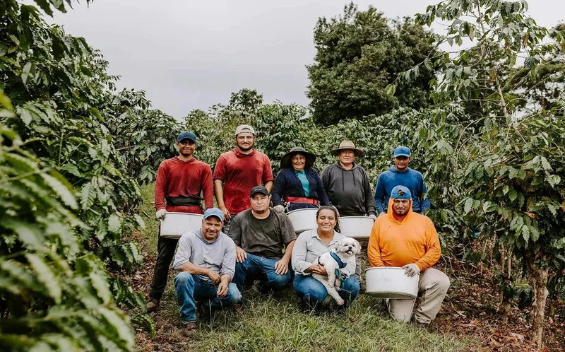 The Accidental Coffee Farmer