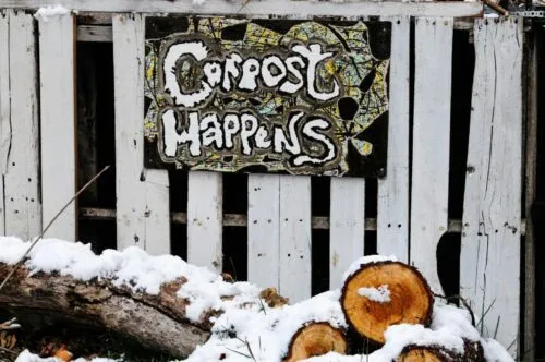 Brewing a Greener Cup: Creative Reuses for Coffee's Hidden Byproducts