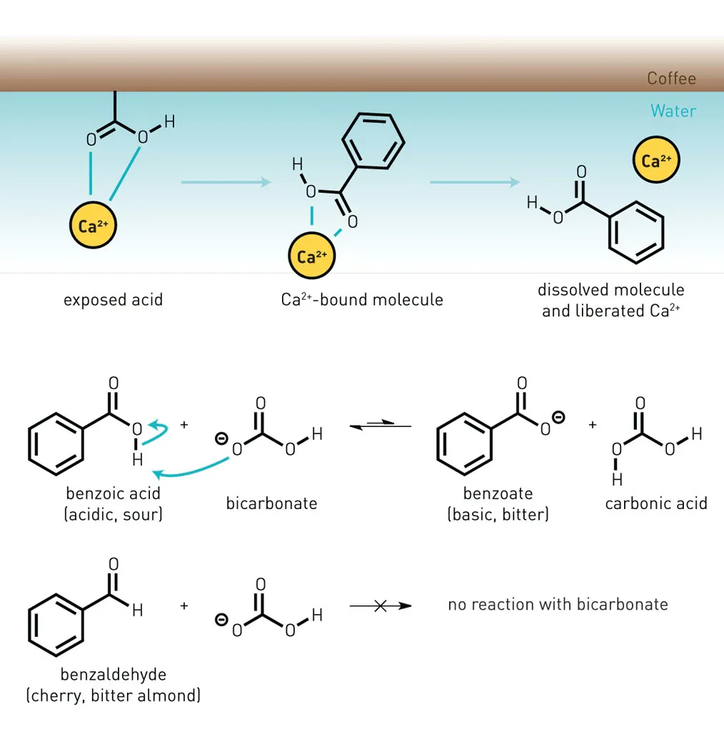 Coffee&WaterMolecules