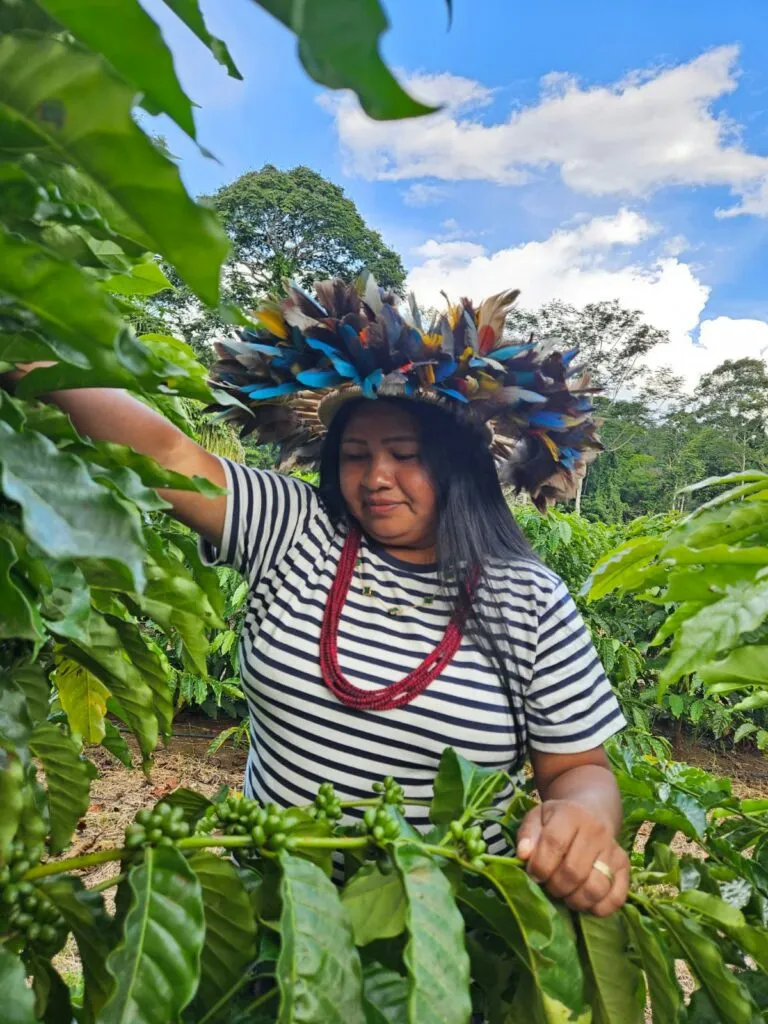 Farmer Solange Mopilacobar Suruí, from the Sete de Setembro Indigenous Territory in Cacoal — one of the protected lands where Amazonian robusta is cultivated.