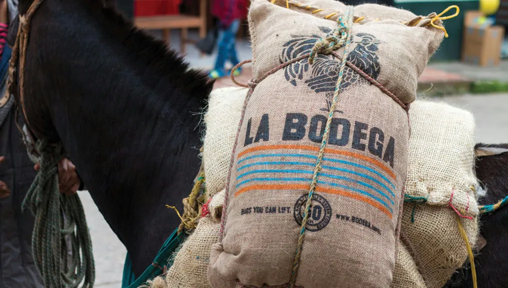 Green Coffee Sourcing for Micro-roasters