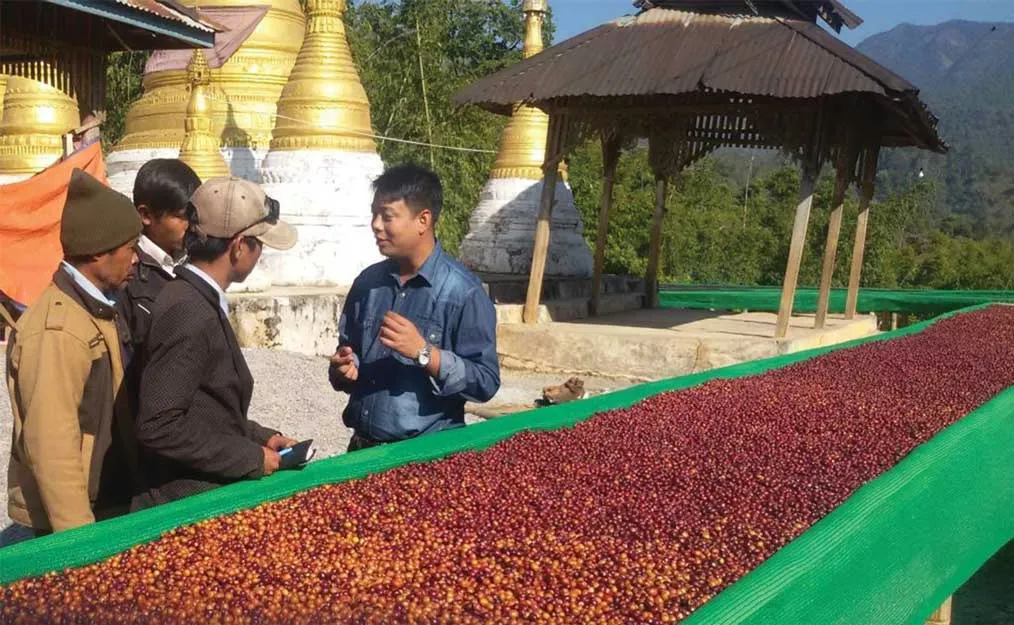 Myanmar Coffee