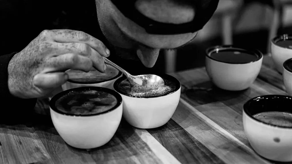 Cupping at Specialty Coffee Curators