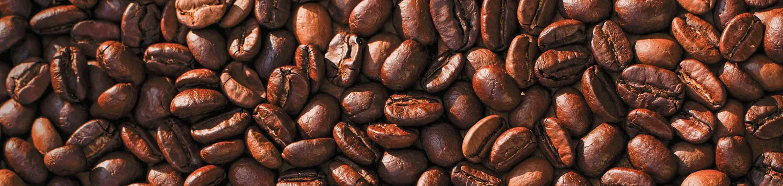 Post Your Roast
